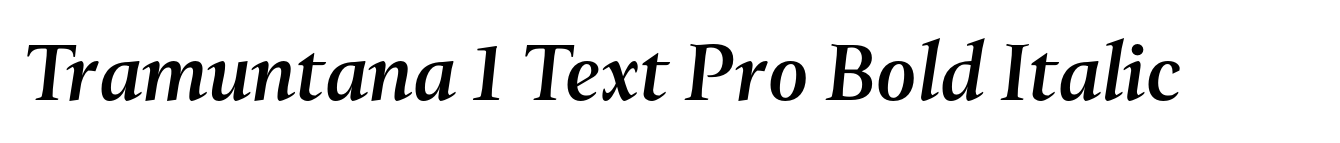 Tramuntana 1 Text Pro Bold Italic image